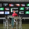 Лучшие букмекерские конторы и тотализаторы для ставок на спорт