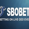 Обзор БК SboBet.com — букмекерская контора Sbo Bet.com